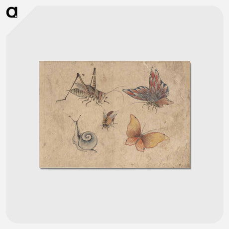 アートポストカード-Album of Sketches by Katsushika Hokusai and His Disciples - 葛飾 北斎 Postcard.