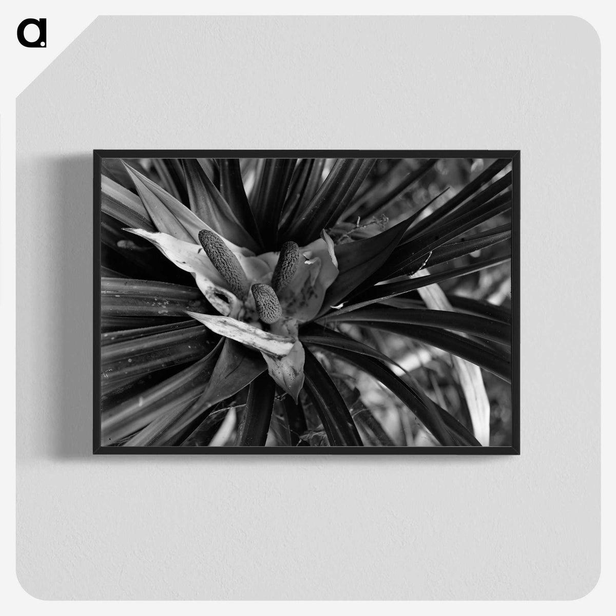 2-68_Leslie-Adkin_blk-crop