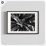 2-68_Leslie-Adkin_blk