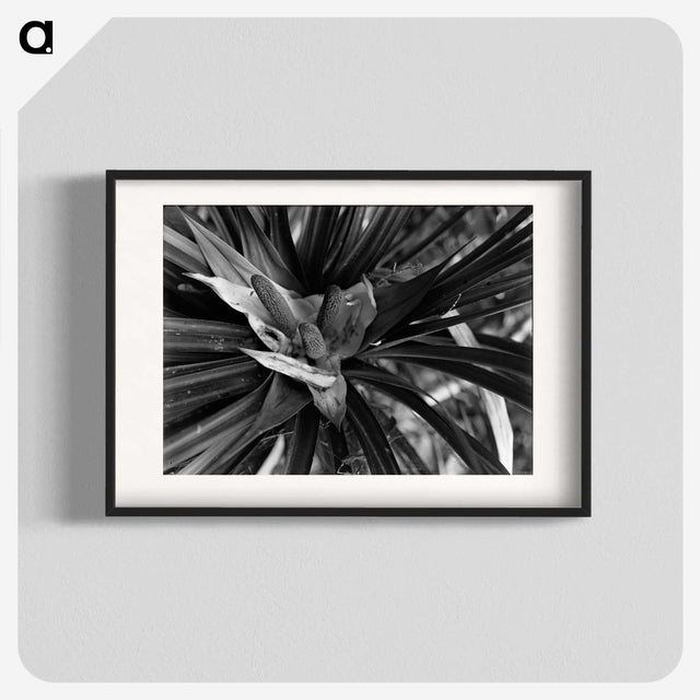 2-68_Leslie-Adkin_blk