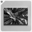 2-68_Leslie-Adkin_canvas