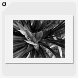 2-68_Leslie-Adkin_picture