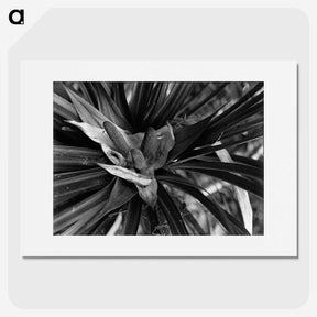 2-68_Leslie-Adkin_picture