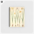 2-68_Maria-Sibylla-Merian_memo