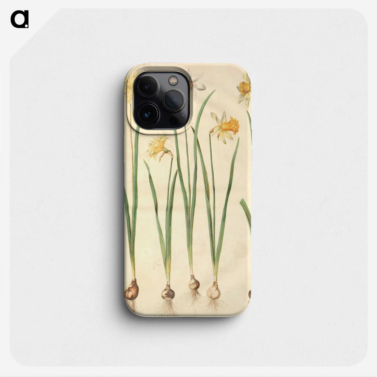 2-68_Maria-Sibylla-Merian_phone