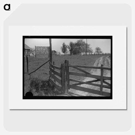 2-68_Marion-Post-Wolcott_picture