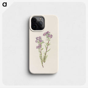 2-68_Mary-Vaux-Walcott_phone