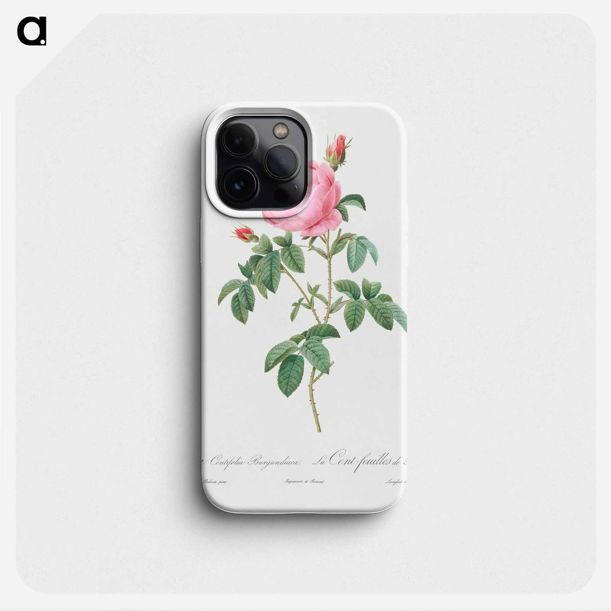 Burgundy Cabbage Rose, the Hundred-Leaves of Bordeaux - Pierre-Joseph Redouté Phone Case.