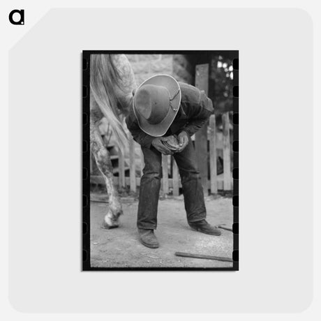 アートポストカード-Mormon Farmer Shoeing a Horse
 - ラッセル リー Postcard.