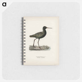アートメモ帳-Spotted Redshank
 - スヴェンスカ フォグラル Memo.