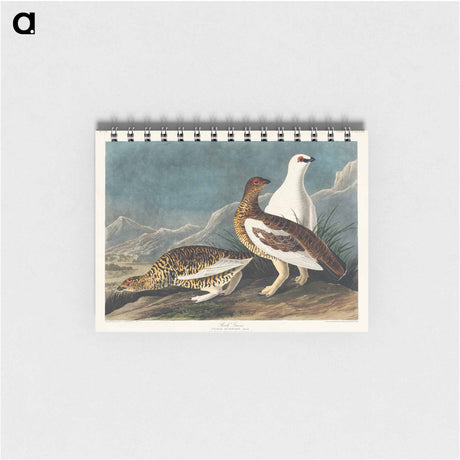 アートメモ帳-Rock Grous from Birds of America
 - アメリカの鳥たち Memo.