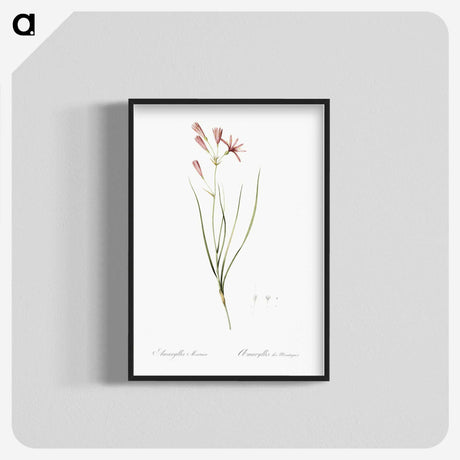 2-68_The-Lilies_blk-crop