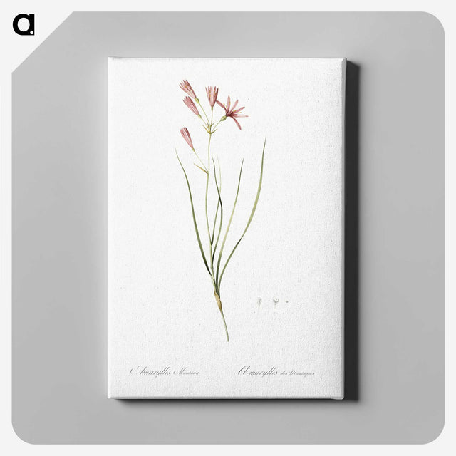 2-68_The-Lilies_canvas