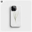 2-68_The-Lilies_phone