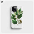 2-68_Treatise-on-Trees-and-Shrubs_phone