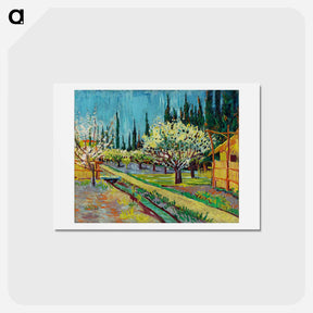 アートポストカード-Orchard Bordered by Cypresses - フィンセント ファン ゴッホ Postcard.