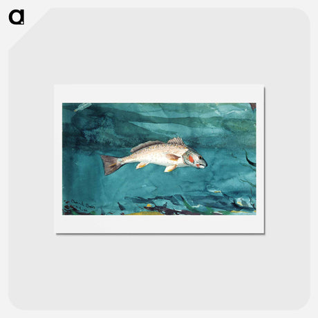 アートポストカード-Channel Bass - ウィンスロー ホーマー Postcard.