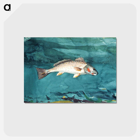 アートポストカード-Channel Bass - ウィンスロー ホーマー Postcard.