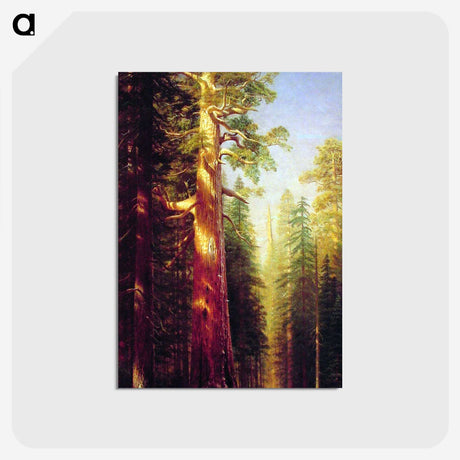 2-69_Albert-Bierstadt_postcard