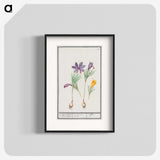 2-69_Anselmus-Boetius-de-Boodt_blk