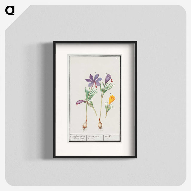 2-69_Anselmus-Boetius-de-Boodt_blk