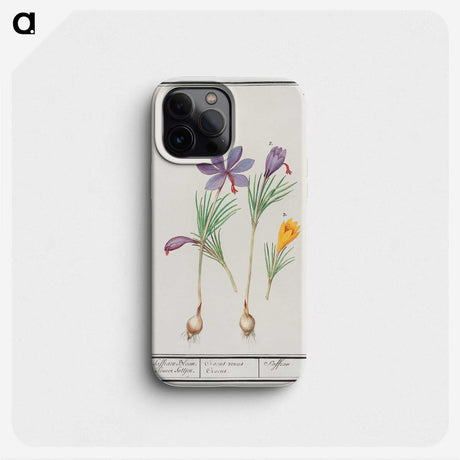 2-69_Anselmus-Boetius-de-Boodt_phone