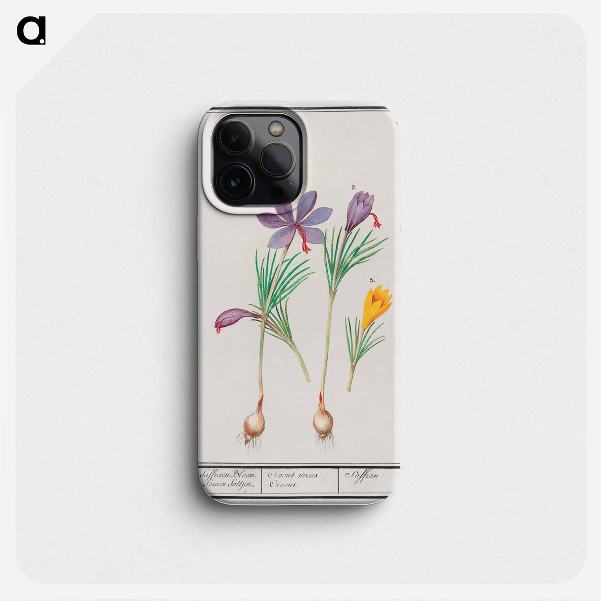 Saffron crocus, Crocus sativus and yellow crocus, Crocus - アンセルムス ボエティウス デ ブート Phone Case.