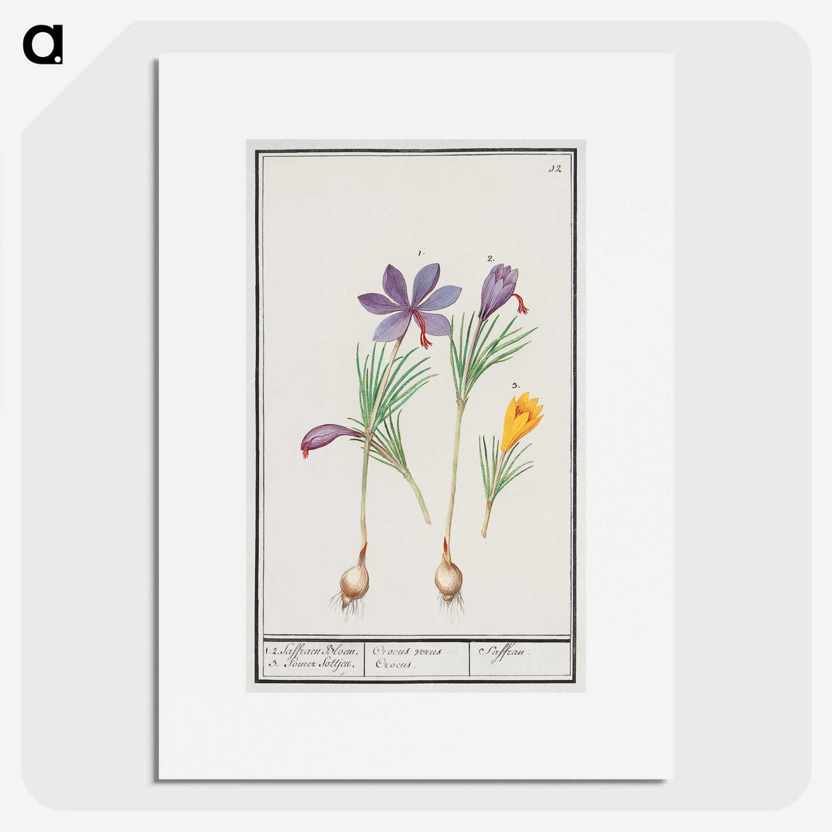 2-69_Anselmus-Boetius-de-Boodt_picture