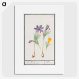 2-69_Anselmus-Boetius-de-Boodt_picture