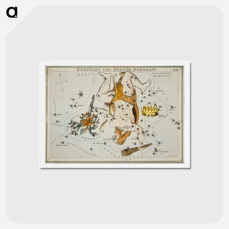 アートポストカード-Sidney Hall’s astronomical chart illustration of the Hercules and the Corona Borealis - アンティーク地図 Postcard.