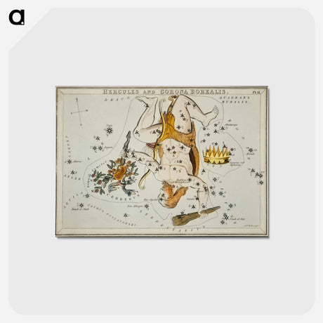 アートポストカード-Sidney Hall’s astronomical chart illustration of the Hercules and the Corona Borealis - アンティーク地図 Postcard.