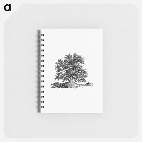 アートメモ帳-Tree Illustration from The Pleasures of Hope
 - 大英図書館 Memo.