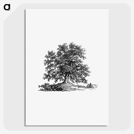 2-69_British-Library_picture-crop