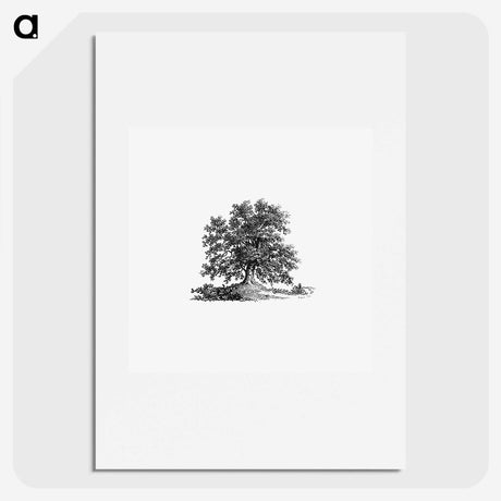 2-69_British-Library_picture