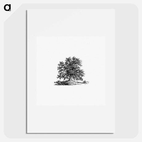 アートポスター-Tree Illustration from The Pleasures of Hope
 - 大英図書館 Poster.