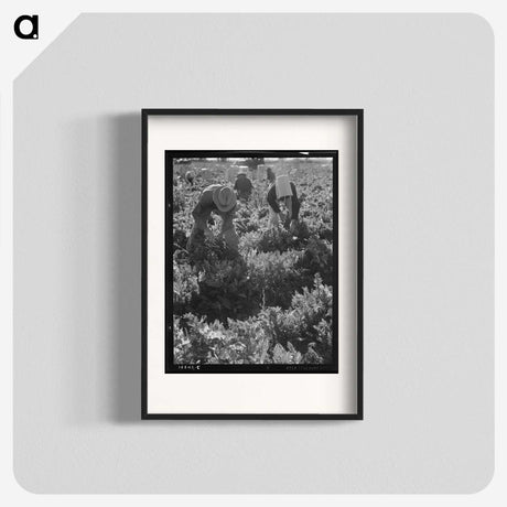 2-69_Dorothea-Lange_blk