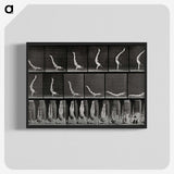 2-69_Eadweard-Muybridge_blk-crop