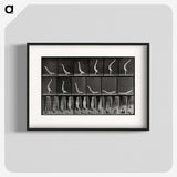 2-69_Eadweard-Muybridge_blk