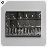 2-69_Eadweard-Muybridge_canvas