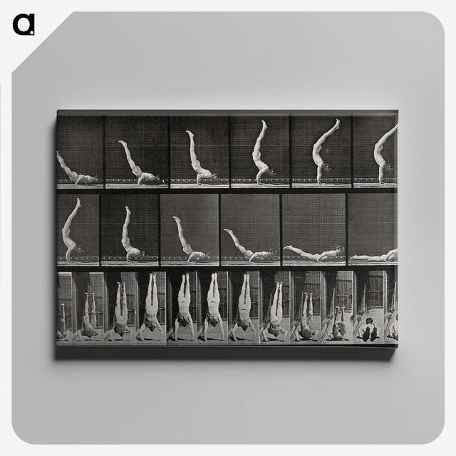 2-69_Eadweard-Muybridge_canvas
