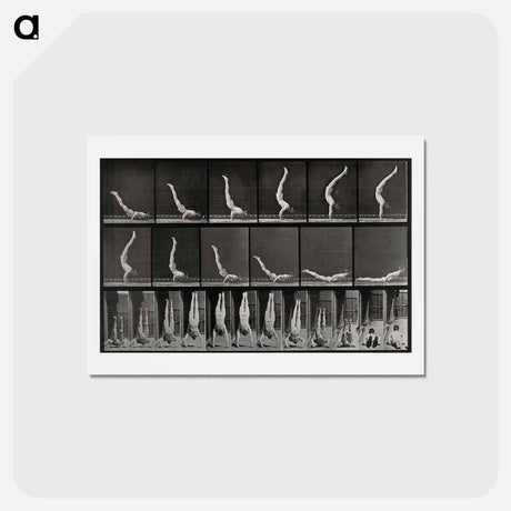 アートポストカード-Handstand
 - エドワード マイブリッジ Postcard.