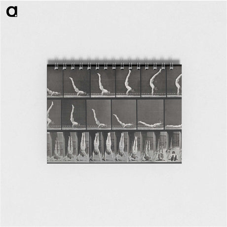 2-69_Eadweard-Muybridge_memo