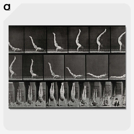 2-69_Eadweard-Muybridge_picture-crop
