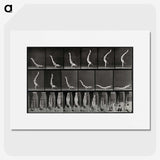 2-69_Eadweard-Muybridge_picture