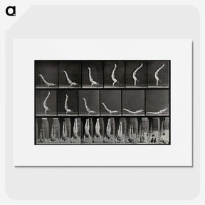 2-69_Eadweard-Muybridge_picture