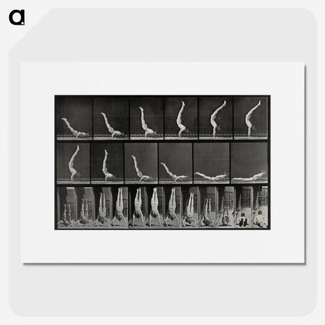 2-69_Eadweard-Muybridge_picture