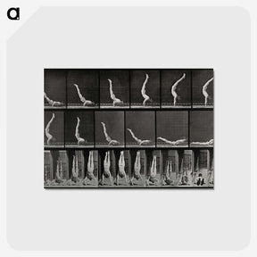 2-69_Eadweard-Muybridge_postcard