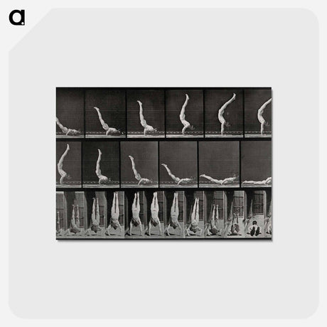 アートポストカード-Handstand
 - エドワード マイブリッジ Postcard.