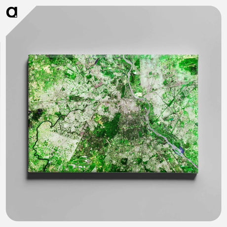 アートパネル-Delhi Metropolis
 - 上空からの地球 Canvas.