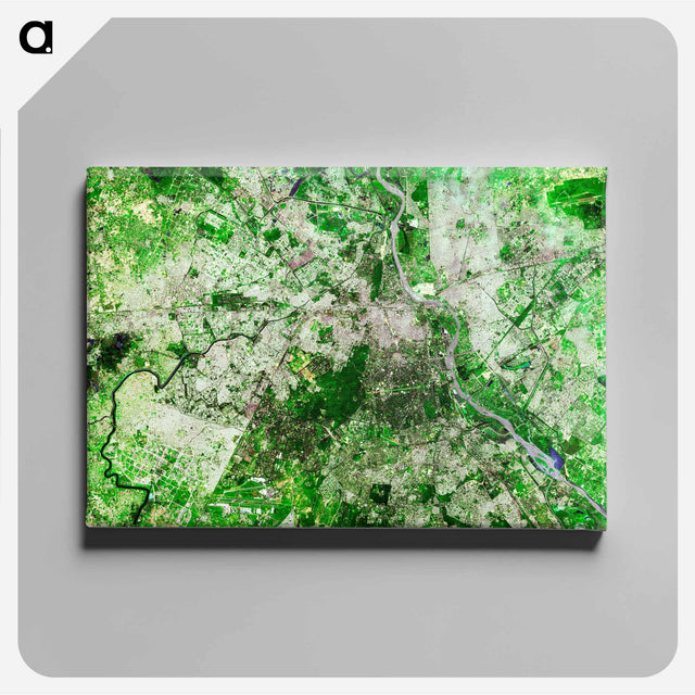 アートパネル-Delhi Metropolis
 - 上空からの地球 Canvas.